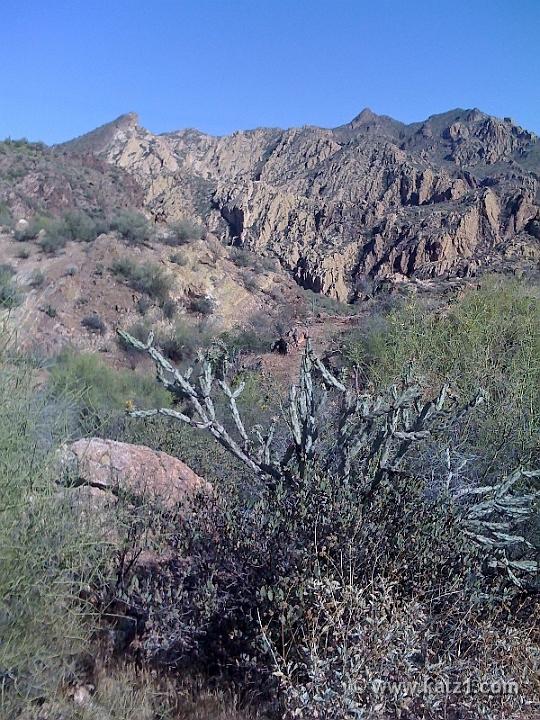 Pictures from iPhone 042